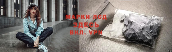 стаф Баксан