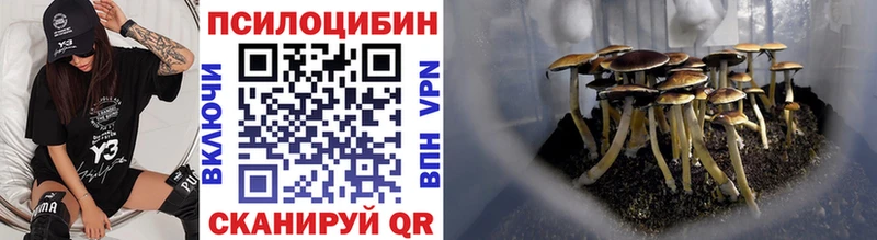 Псилоцибиновые грибы Magic Shrooms  дарнет шоп  Отрадная 