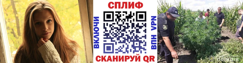 наркошоп  Отрадная  Бошки Шишки ГИДРОПОН 